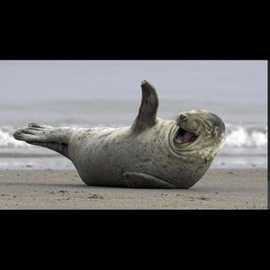 Meet your Posher, Mark